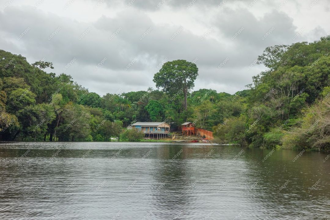 Manaus, Amazonas, vista do rio com casas de madeira ocultas pela vegetação em dia nublado e luz difusa