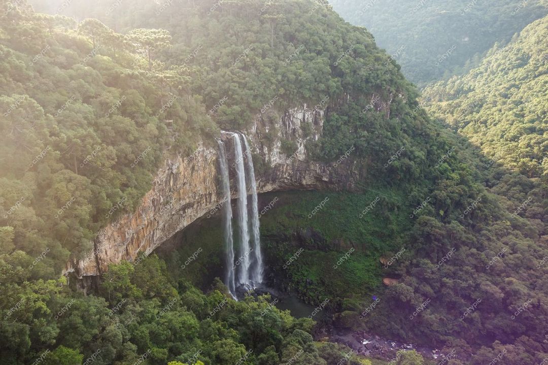 Canela, Rio Grande do Sul, cachoeira em meio a vegetação densa sob luz suave do sol durante o dia
